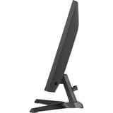 iiyama  23.8" Moniteur gaming  Noir