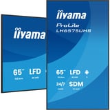 iiyama ProLite LH6575UHS-B2AG, Affichage public Noir (Mat), 3x HDMI | 1x DisplayPort | LAN | WiFi | 24/7