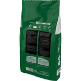 DCM Semences de gazon Play & Sports 5 kg, Graines Jusqu'à 250 m²