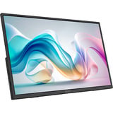 MSI PRO MP165 E6 15.6" Moniteur Noir, 1x HDMI, 2x USB-C