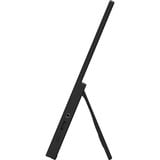 MSI PRO MP165 E6 15.6" Moniteur  Noir, 1x HDMI, 2x Type-C, Audio