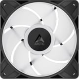 ARCTIC P14 Pro A-RGB ventilateur de boîtier Noir, 140 x 140 x 27 mm, PWM