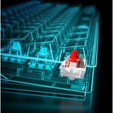 Sharkoon SKILLER SGK50 S4 RGB clavier gaming mécanique Noir, Layout BE (AZERTY), Kailh Red, 60%, Hot-swappable