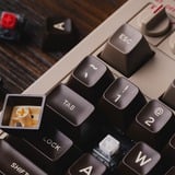 8BitDo Retro Mechanical Keyboard - C64 Edition, clavier gaming Beige/Noir, Kailh Box White V2, Kailh Box White V2