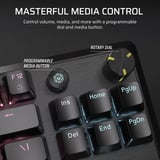 Corsair K70 CORE TKL RGB clavier gaming mécanique Noir, Layout BE (AZERTY), Corsair MLX Red v2, 80% (TKL), Hot-swappable