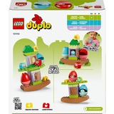 LEGO DUPLO - L'arbre en équilibre et l'empilage, Jouets de construction 10440