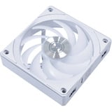 Lian Li 12CL1W3W, Ventilateur de boîtier Blanc