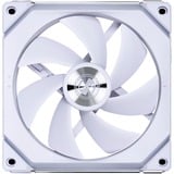 Lian Li UNI FAN SL140V2 Single Pack, Ventilateur de boîtier Blanc, LED RGB, connecteur de ventilateur PWM à 4 broches