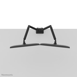 Neomounts Bras pour moniteur DS70-250BL2, Support de moniteur Noir