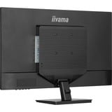 iiyama  31.5" Moniteur  Noir