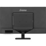 iiyama  31.5" Moniteur  Noir