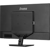 iiyama  31.5" Moniteur  Noir