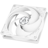 ARCTIC P12 PWM PST ventilateur de boîtier Blanc, 120 x 120 x 25 mm