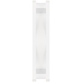 ARCTIC P12 PWM PST ventilateur de boîtier Blanc, 120 x 120 x 25 mm