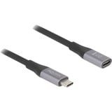 DeLOCK USB-C (mâle) > USB-C (femelle), Câble d'extension Noir/Argent, 1 mètre