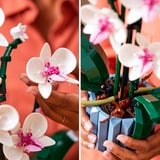 LEGO Creator Expert - L’orchidée, Jouets de construction 10311