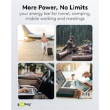 goobay Powerbank pour ordinateur portable 20 000 mAh avec Power Delivery Noir
