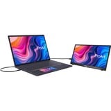 ASUS ProArt PA148CTV 14" Moniteur  Noir, Micro HDMI, USB-C