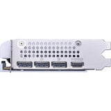 MSI GeForce RTX 5060 8G VENTUS 2X OC WHITE, Carte graphique 3x DisplayPort, 1x HDMI