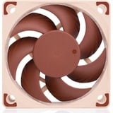 Noctua NF-A6x15 5V, Ventilateur de boîtier 