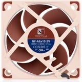 Noctua NF-A6x15 5V ventilateur de boîtier 60 x 60 x 15 mm