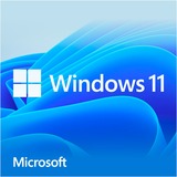 Microsoft Windows 11 Home (Anglais), Logiciel Anglais