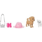 Barbie avec Stacie, set de poupées de deux sœurs 