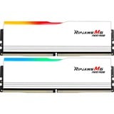 G.Skill F5-6000J3040G32GX2-RM5NRW, Mémoire vive 