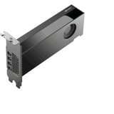 PNY NVIDIA RTX PRO 2000 Blackwell Generation 16Go SB, Carte graphique 4x Mini-Display Port 2.1, Bulk, En vrac