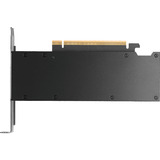 PNY NVIDIA RTX PRO 2000 Blackwell Generation 16Go SB, Carte graphique 4x Mini-Display Port 2.1, Bulk, En vrac