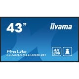iiyama ProLite LH4365UHSB-B1, Affichage public Noir, HDMI, DisplayPort, LAN, Audio, USB, WiFi, Android