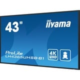 iiyama ProLite LH4365UHSB-B1, Affichage public Noir, HDMI, DisplayPort, LAN, Audio, USB, WiFi, Android