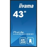iiyama iiya 43 L LH4365UHSB-B1 LCD 4K UHD IPS L, Affichage public Noir