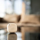 Shelly BLU Button Tough, Palpeur Moka