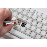 Ducky Zero 6108, clavier gaming Blanc, Layout BE, Cherry MX2A Brown