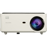 Salora Projecteur à LED