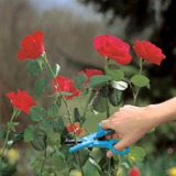 GARDENA Cueille-roses, Sécateur Turquoise