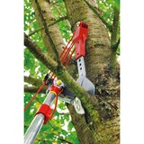WOLF-Garten multi-star Cisaille à arbre Vario RC-VM, Sécateur Rouge