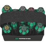 Wera Kraftform 2go 300, Tournevis Noir/Vert