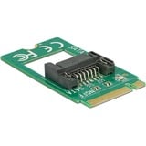 DeLOCK Adaptateur M.2 Clé B -> SATA Broche 7, Serial ATA-Controller 
