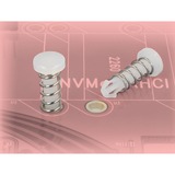 DeLOCK Clips pour le dissipateur thermique, Montage Blanc, 10 pièces