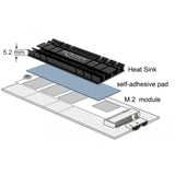 DeLOCK Dissipateur plat de 70 mm pour module M.2, Dissipateur thermique Noir