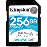 Kingston Canvas Go! mémoire flash 256 Go SDXC Classe 10 UHS-I, Carte mémoire Noir, 256 Go, SDXC, Classe 10, UHS-I, 90 Mo/s, 45 Mo/s
