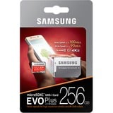 SAMSUNG 256 Go EVO +, Carte mémoire Rouge/Blanc, MB-MC256GA/EU, Class 10, incl. adaptateur