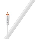 Audioquest Câble