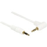 DeLOCK 3,5 mm mâle > 3,5 mm mâle, Câble Blanc, 2 mètres