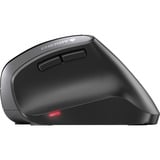 CHERRY MW 4500, Souris Noir, 600 - 1200 dpi