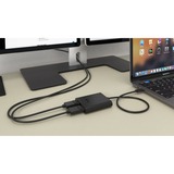 i-tec USB-C > Double DisplayPort, Adaptateur Noir, 0,3 mètre, 4K