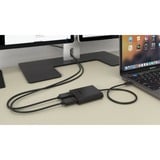 i-tec USB-C > Dual DisplayPort, Adaptateur Noir, 0,3 mètres, 4K