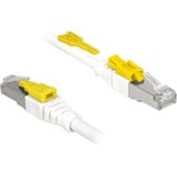 DeLOCK 85330 câble de réseau Blanc 0,5 m Cat6a S/FTP (S-STP) Blanc, 0,5 m, Cat6a, S/FTP (S-STP), RJ-45, RJ-45